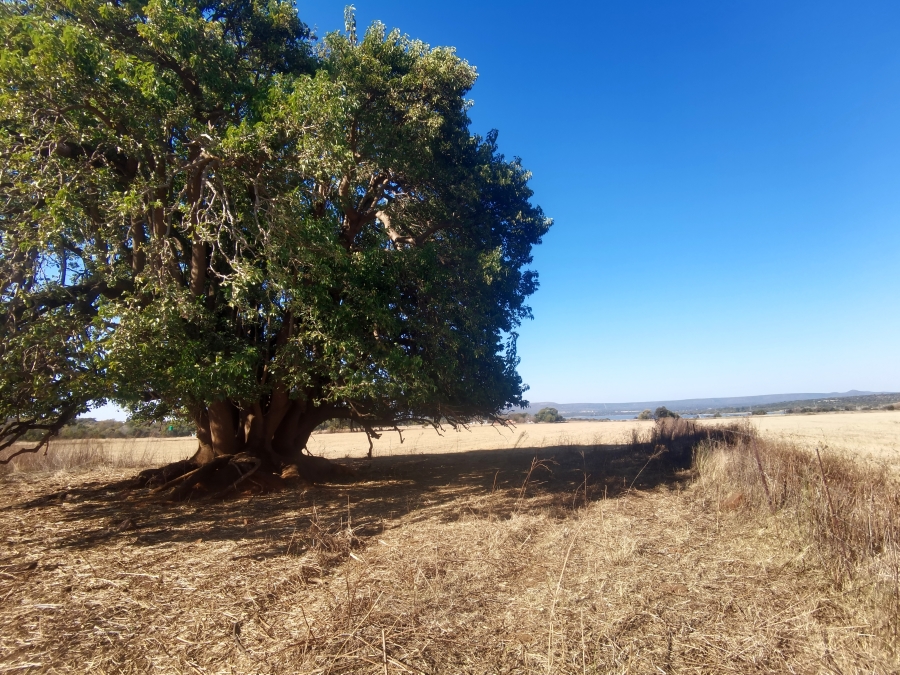 Commercial Property for Sale in Koster North West